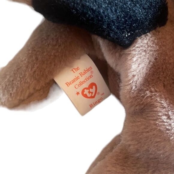 TY Beanie Baby Ringo the Raccoon - Picture 4 of 5